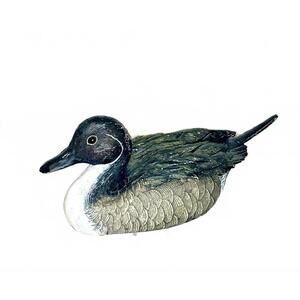 Vintage Northern Pintail Duck Figurine – Marshland Collectibles Resin Sculpture